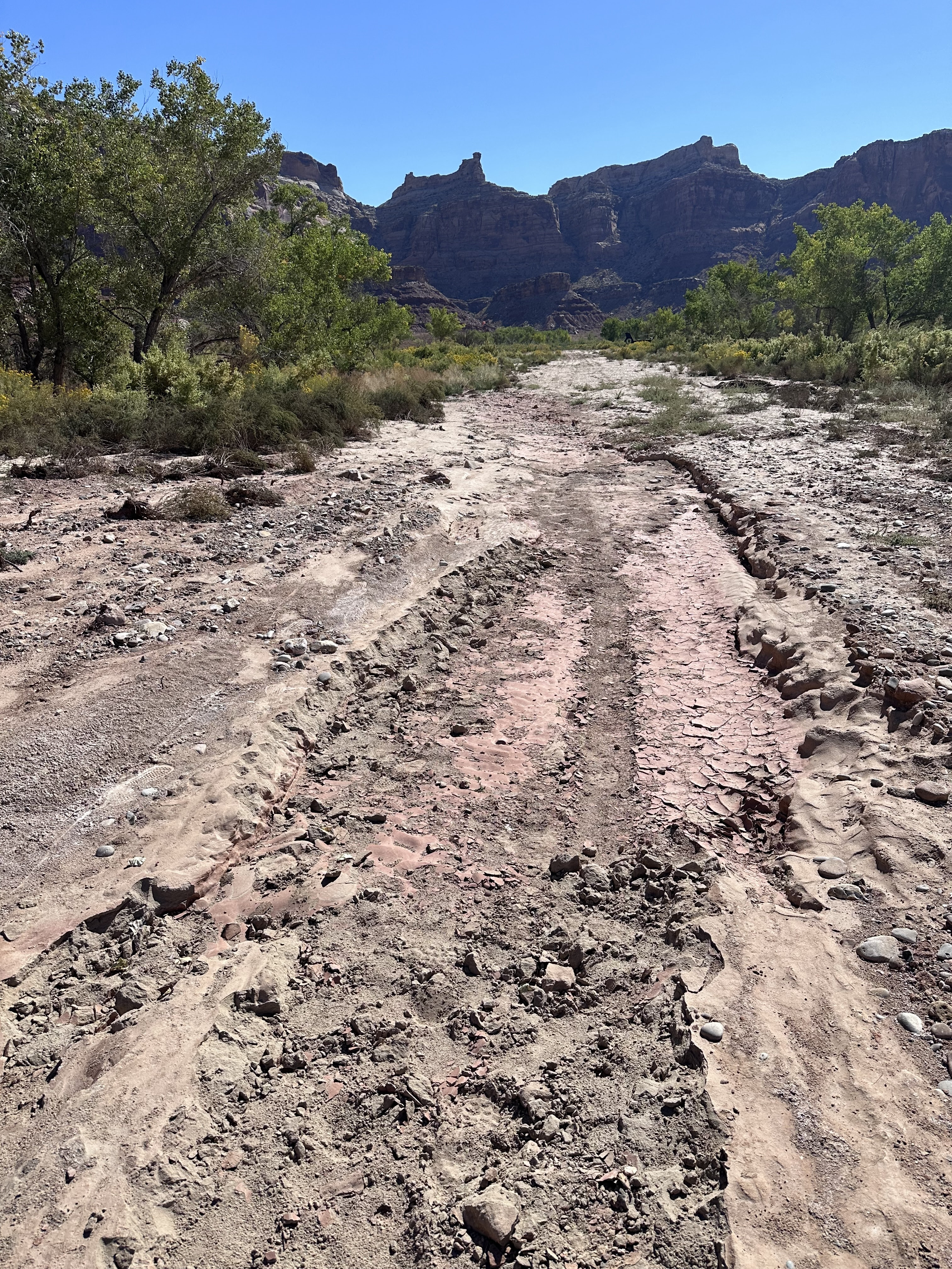 Mexican Mountain runway before UBCP repairs 2